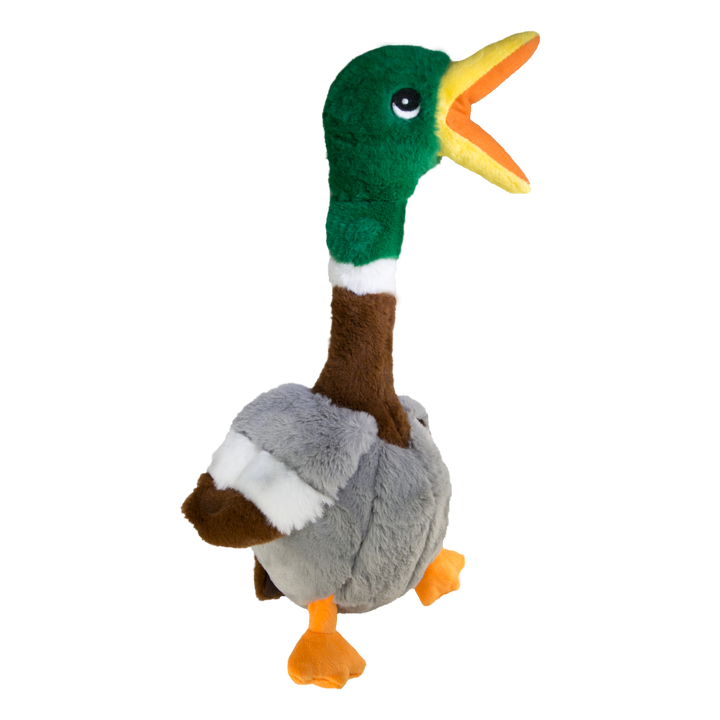 KONG Shakers Honker Duck Large Dog Toy