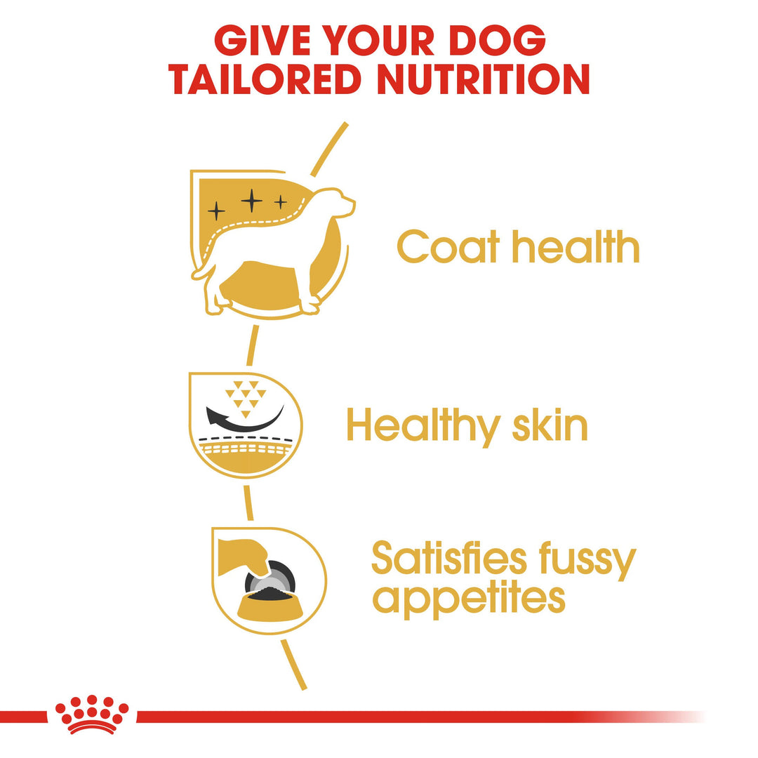Royal Canin West Highland Terrier 3kg, view 5