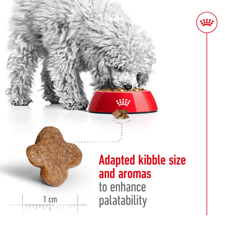 Royal Canin Adult +8 8kg, view 5