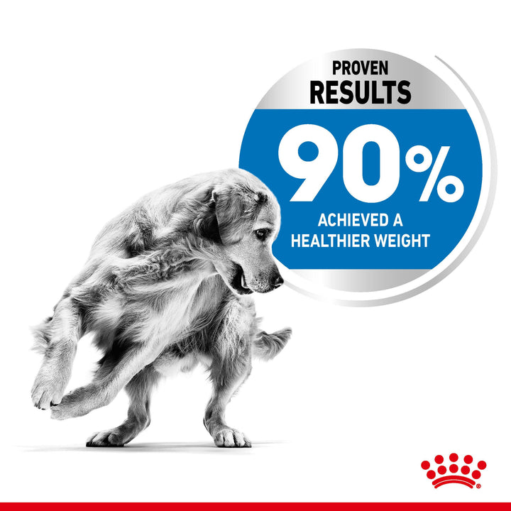 Royal Canin Dog Adult Maxi Light 12kg, view 3