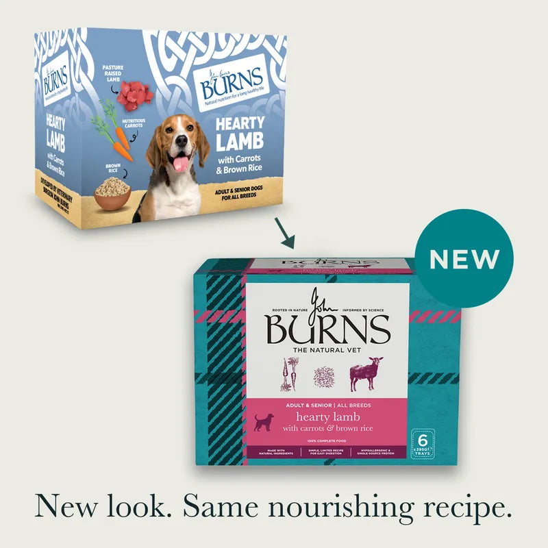 Burns Penlan Lamb 395g x6