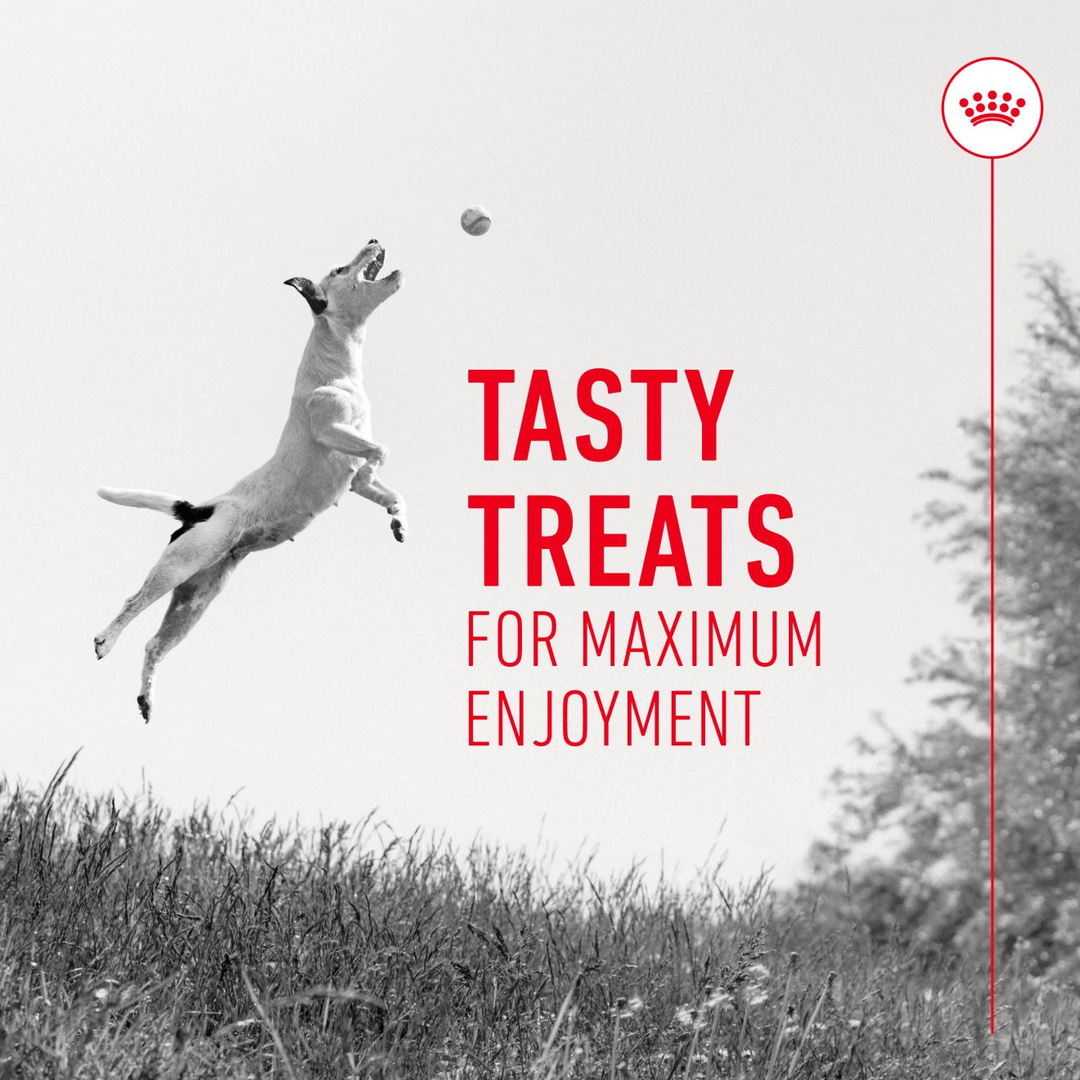 Royal Canin Training Treats 110g, view 5