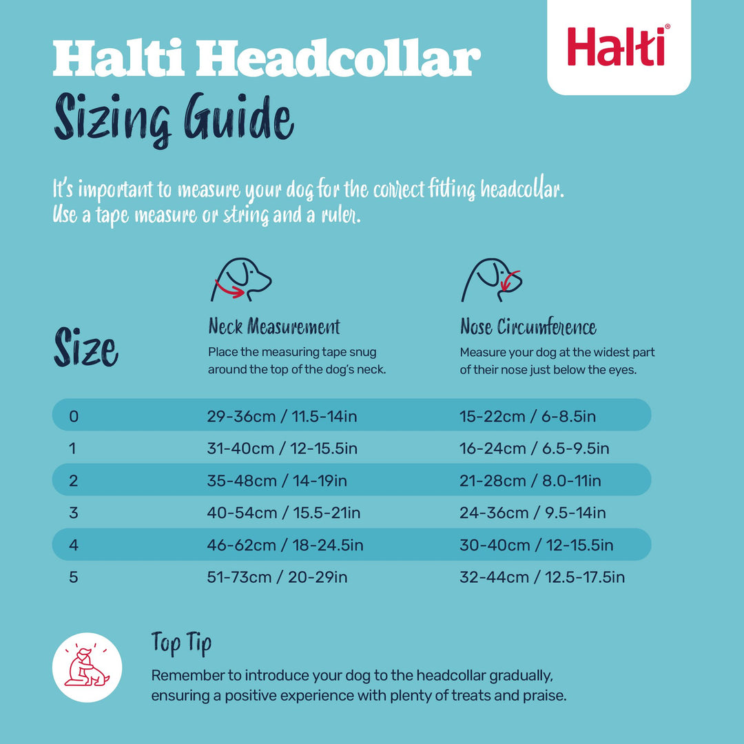Halti Headcollar Size 3 Black, view 4