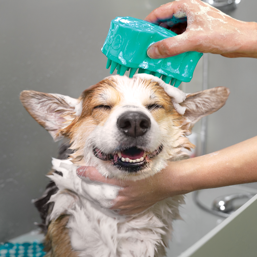 KONG Bubbles Zoom Groom, in use