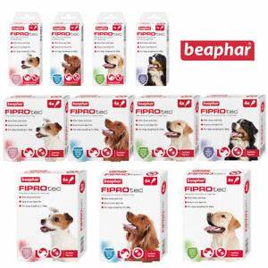 Beaphar FIPROtec Small Dog 1 Pipette