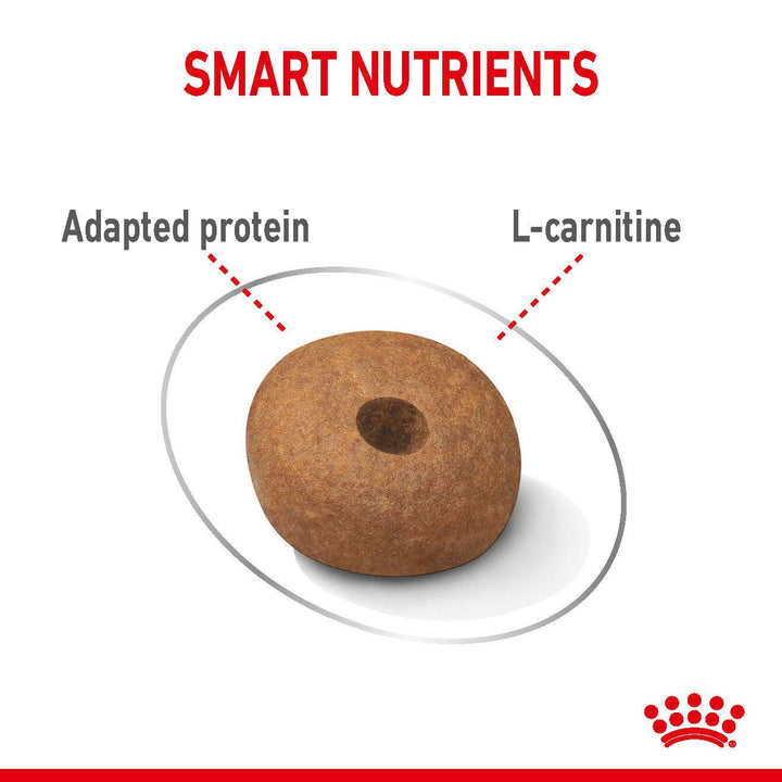 Royal Canin Lightweight Care Medium 12kg, view 4