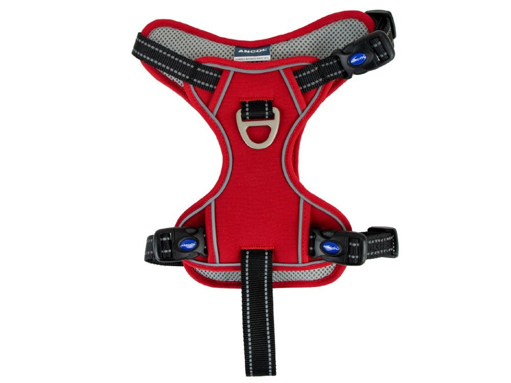 Ancol Viva Exercise &amp; Travel Harness Red Medium (Dog) 