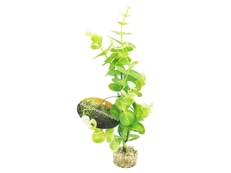 Aqua-dreamscapes Ads Ocean Eucalyptus 22cm (Fish)