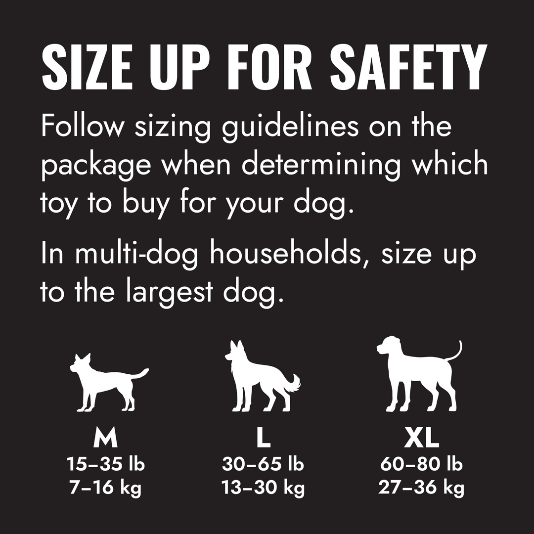 KONG Goodie Bone Extreme Large Black Dog Chew Toy, how to use