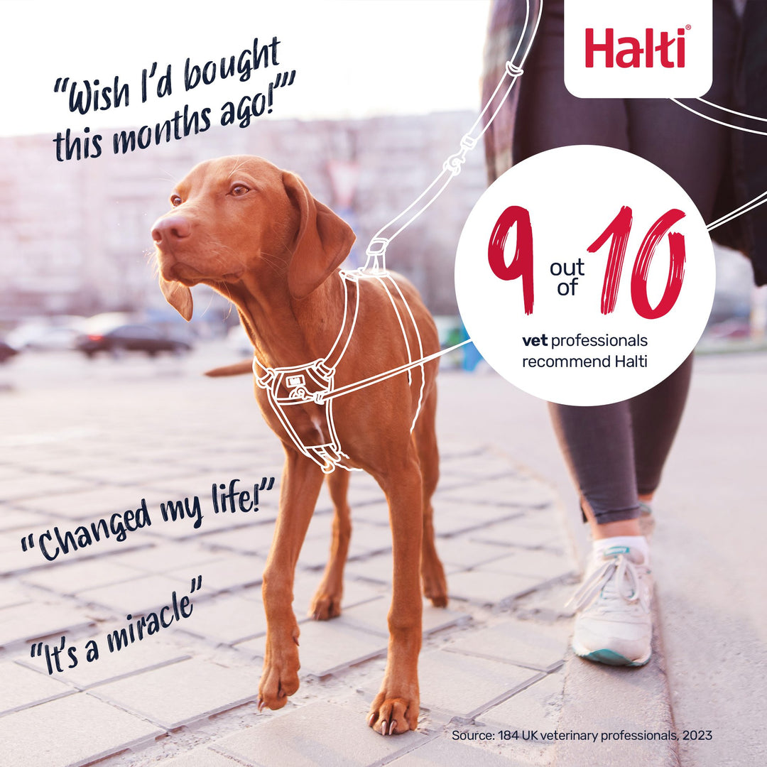HALTI HARNESS SML, view 4
