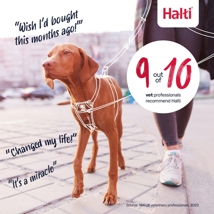 HALTI HARNESS SML, view 4