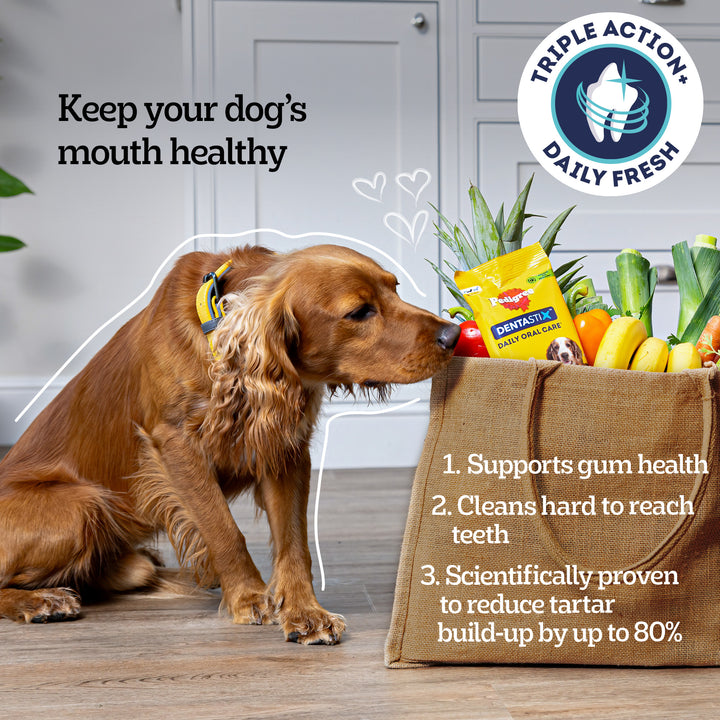 Pedigree Dentastix Daily Fresh Large Dog, product benefits