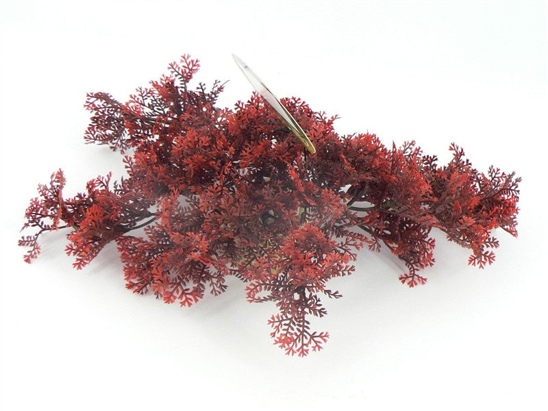 Aqua-dreamscapes Ads Sprawling Moss 8cm (Fish)