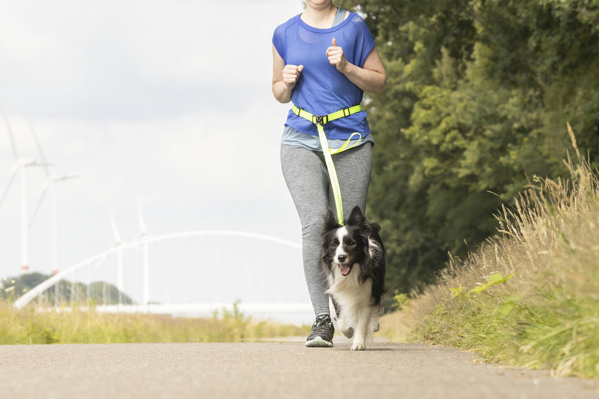 Flamingo Jogging Leash Medium 75-100, view 2