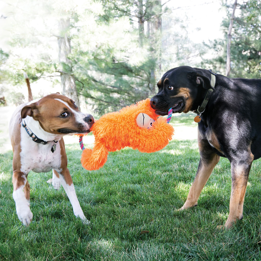 KONG Tuggz Sloth X-Large Dog Toy, in use