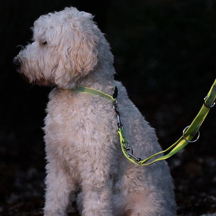 Nobby Collar Full Reflect yellow S-M L 30-45 cm W 15 mm, view 4