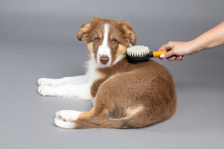 Flamingo Puppy Love 3 in 1 Brush, view 4