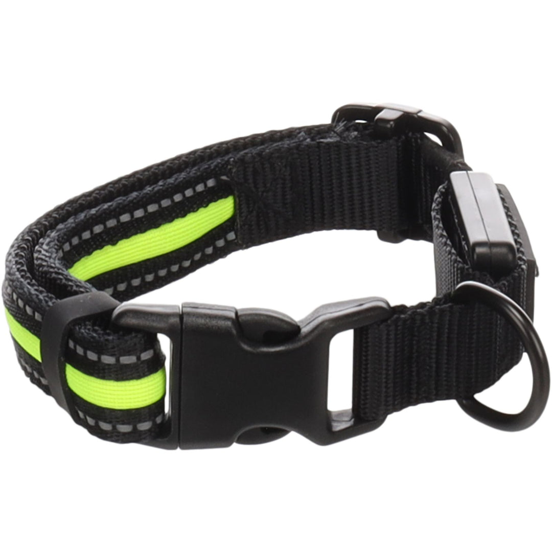 Flamingo Collar Flitzy Black and Yellow Size S