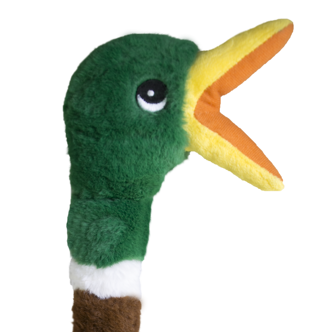KONG Shakers Honker Duck Small Dog Toy, second view