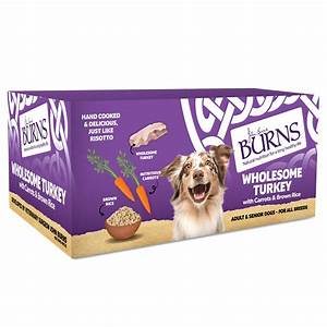 Burns Wholesome Turkey 395g Now (Dog) 