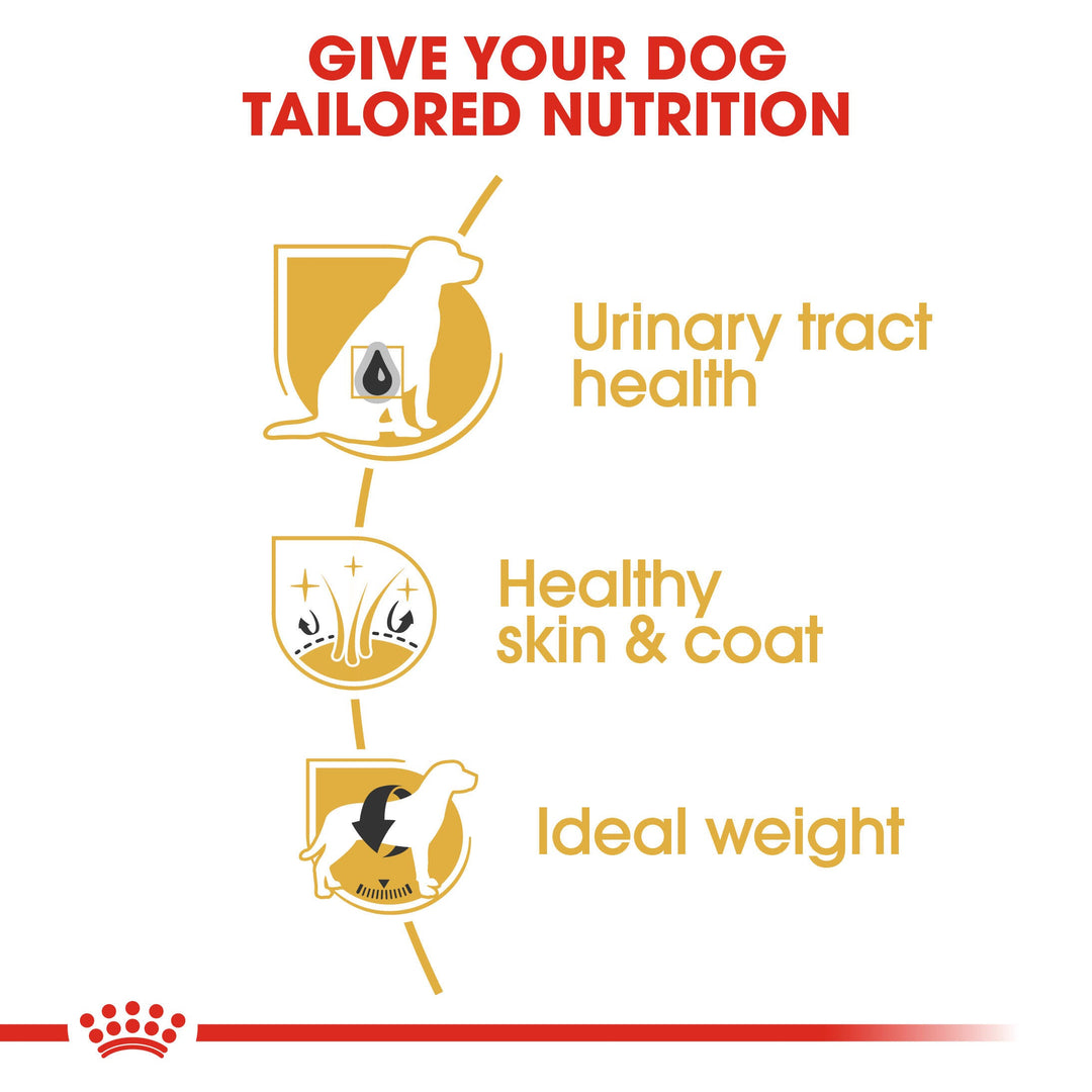 Royal Canin Bichon Frise 1.5kg, view 5