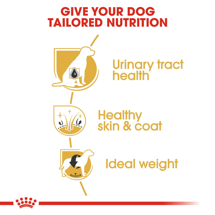 Royal Canin Bichon Frise 1.5kg, view 5