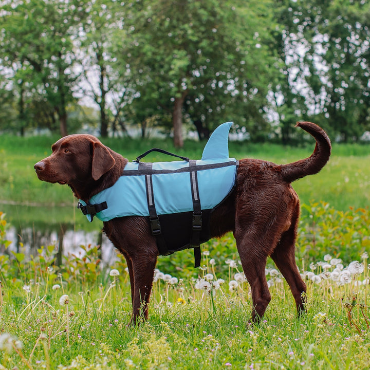 Nobby Dog Buoyancy Aid Sharki Blue XS 25 cm, view 3