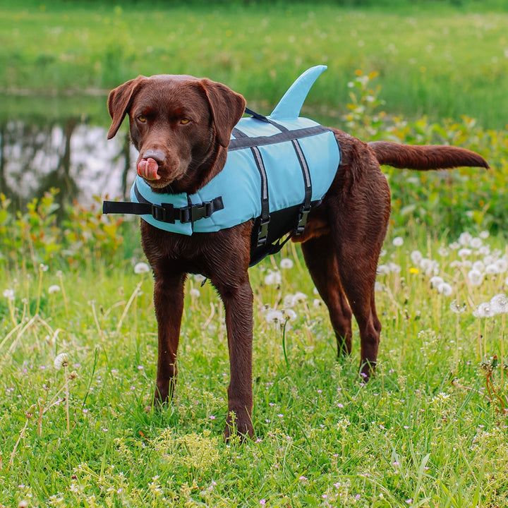 Nobby Dog Buoyancy Aid Sharki Blue XS 25 cm, view 4