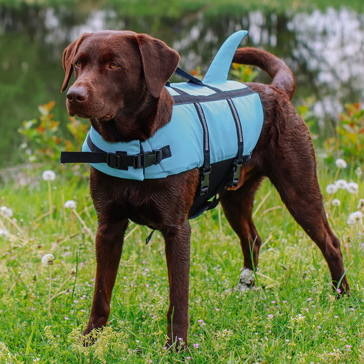 Nobby Dog Buoyancy Aid Sharki Blue XS 25 cm, view 5
