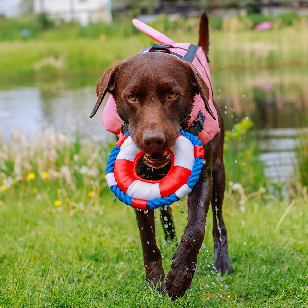 Nobby Dog Buoyancy Aid Sharki Pink M 35 cm, view 3