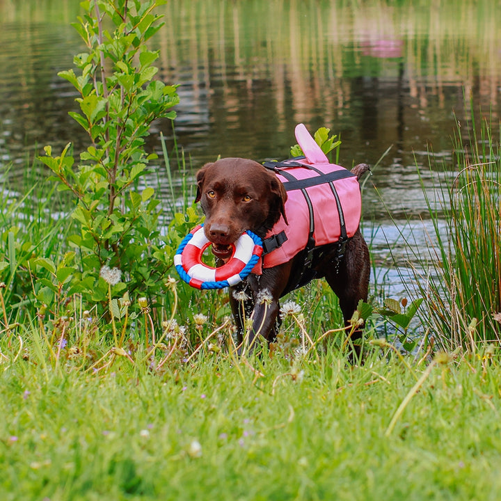 Nobby Dog Buoyancy Aid Sharki Pink L 40 cm, view 4
