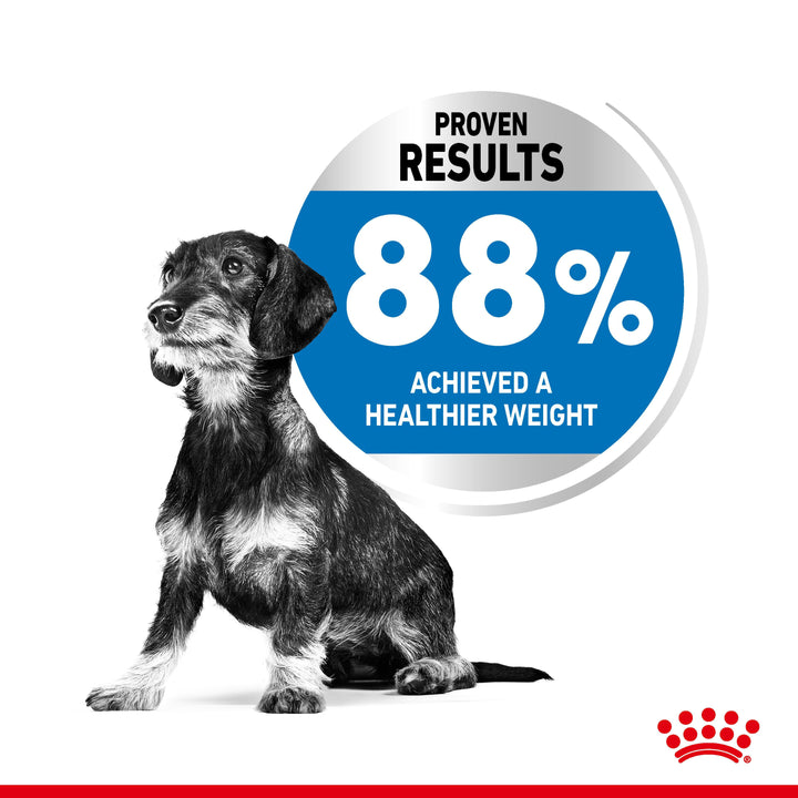 Royal Canin Dog Adult Mini Light 3kg, view 3