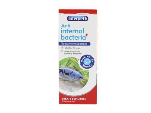 Interpet Ip Treatment Anti Internal BACTERIA100ML (Fish)