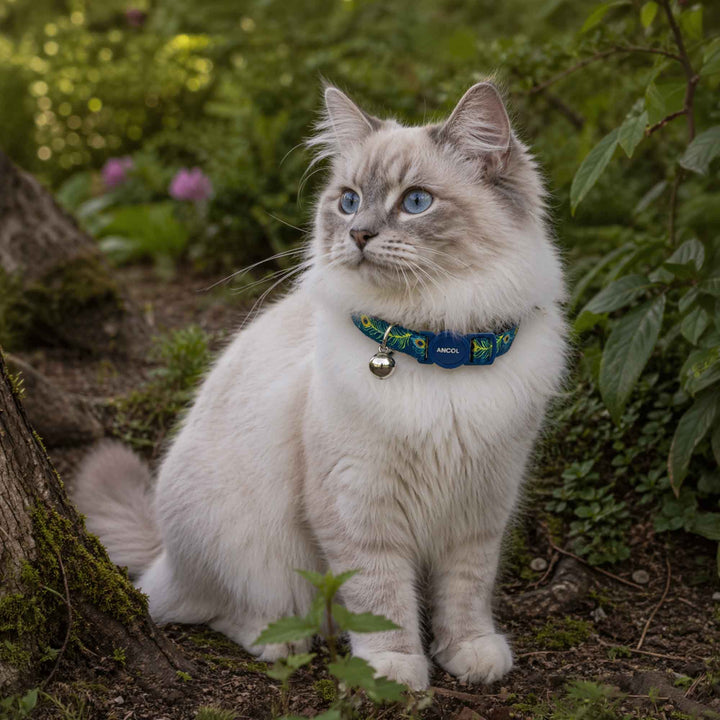 Ancol Peacock Print Cat Collar, view 2