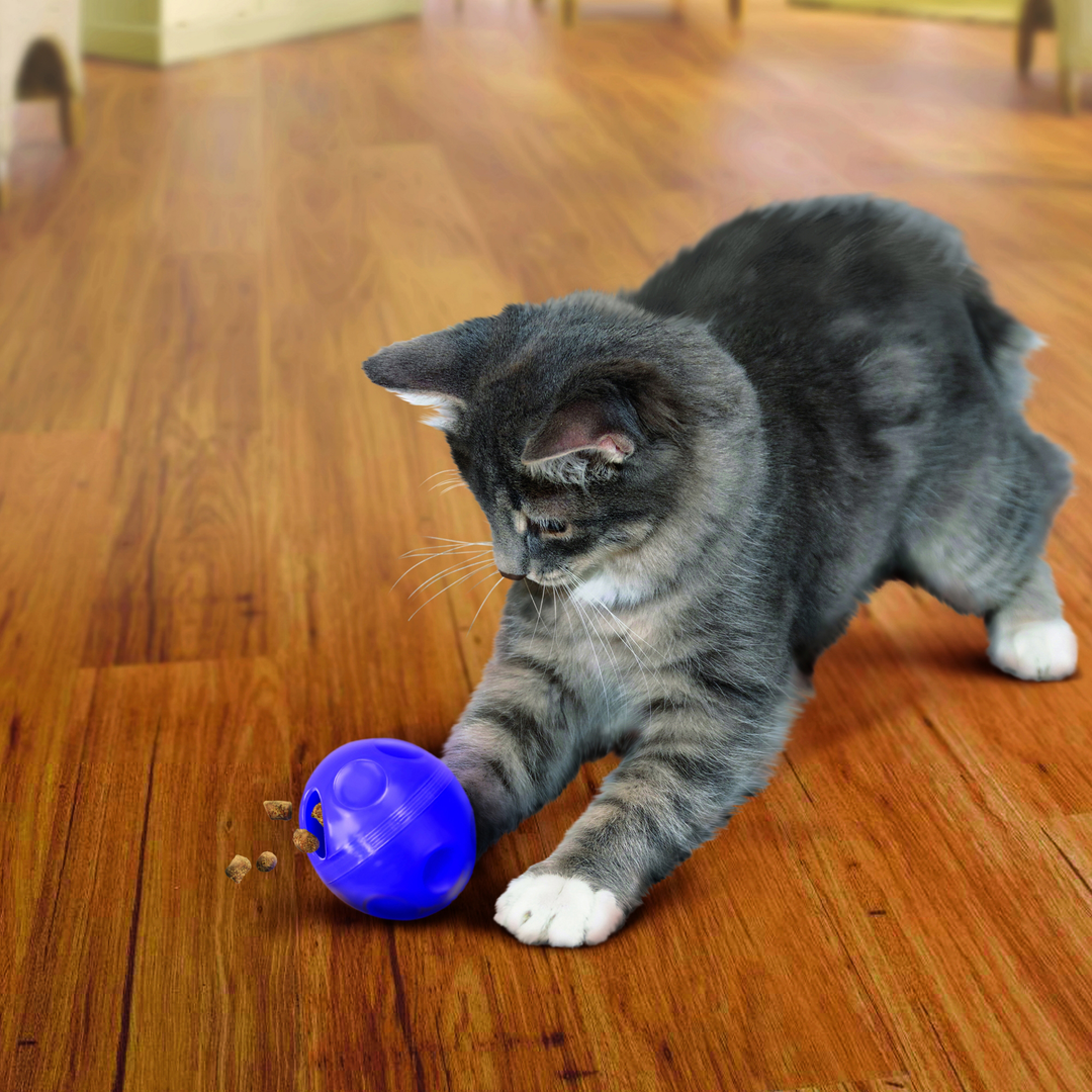 KONG Active Treat Dispensing Ball Cat, in use