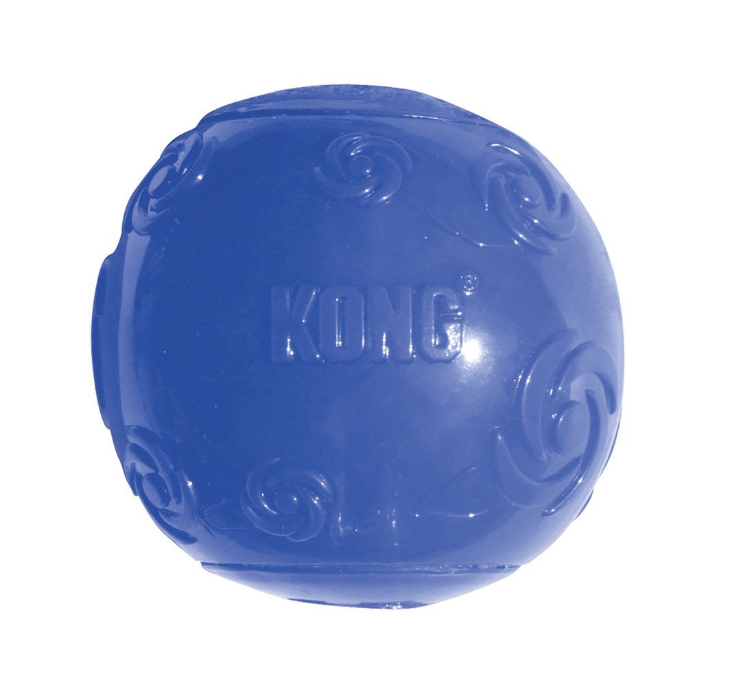 KONG Large Squeezz Ball