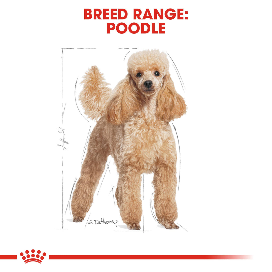 Royal Canin Mini Poodle 1.5kg, view 3