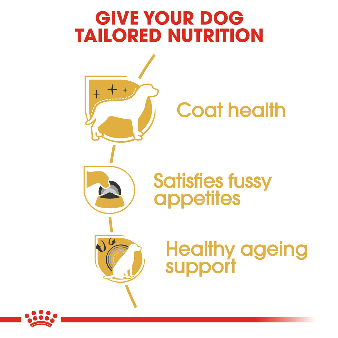 Royal Canin Yorkshire Terrier 1.5kg, view 5