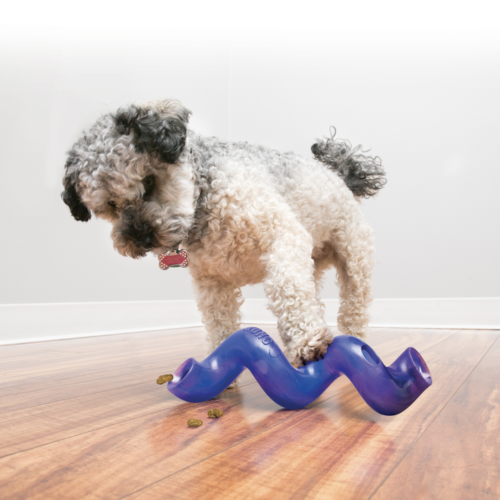 KONG Treat Spiral Stick Astd Large Dog Toy, in use