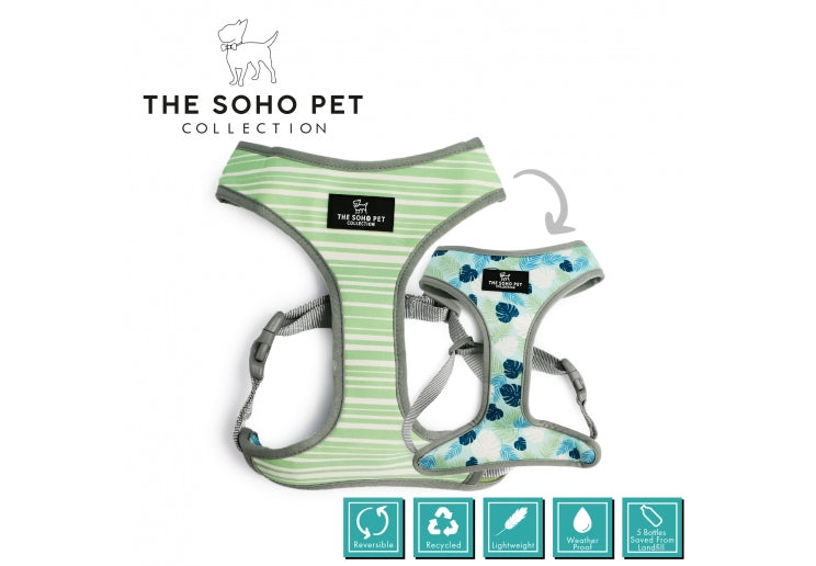 SOHO REVERSIBLE HARNESS STRIPE LEAF MED