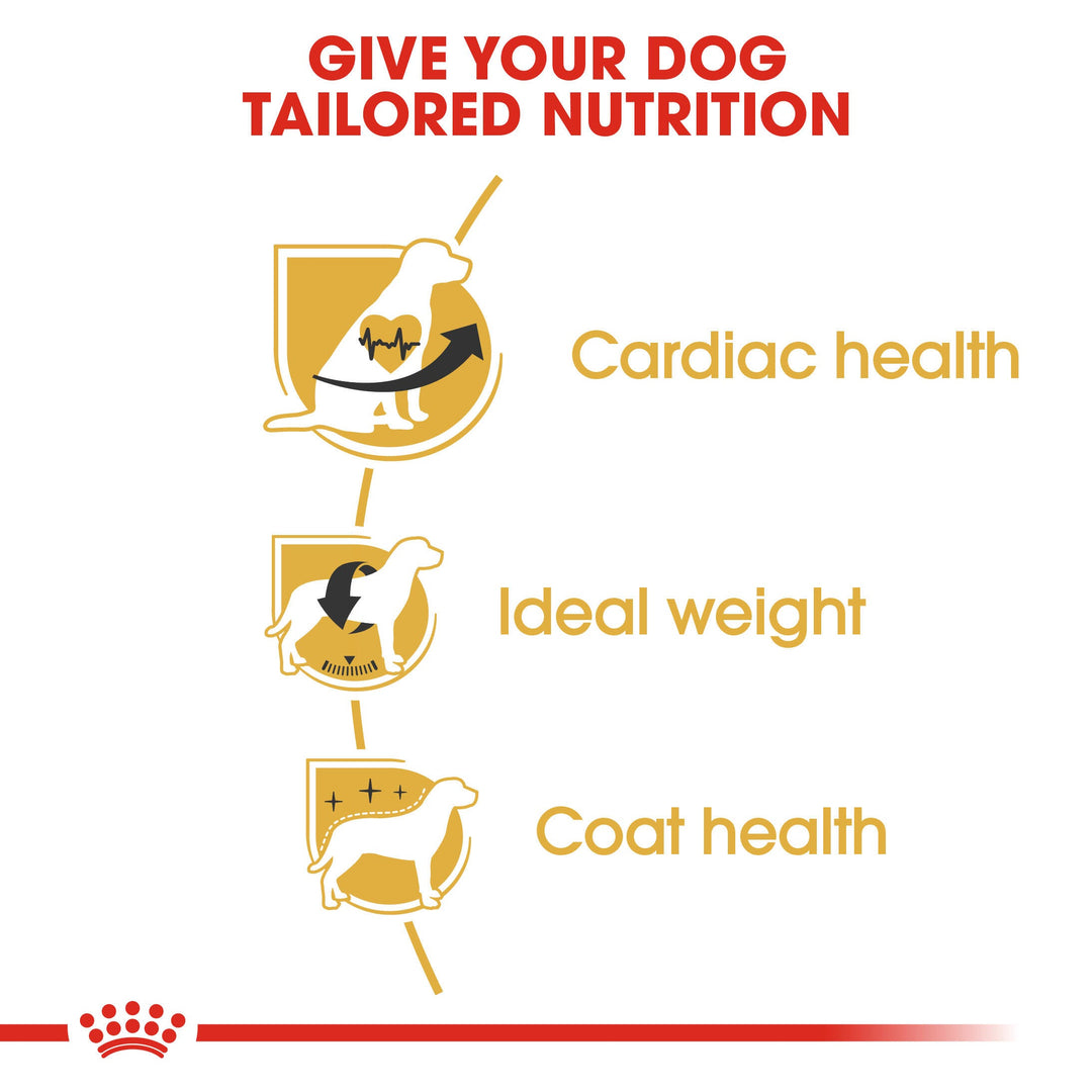 Royal Canin Cavalier King Charles 1.5kg, view 4