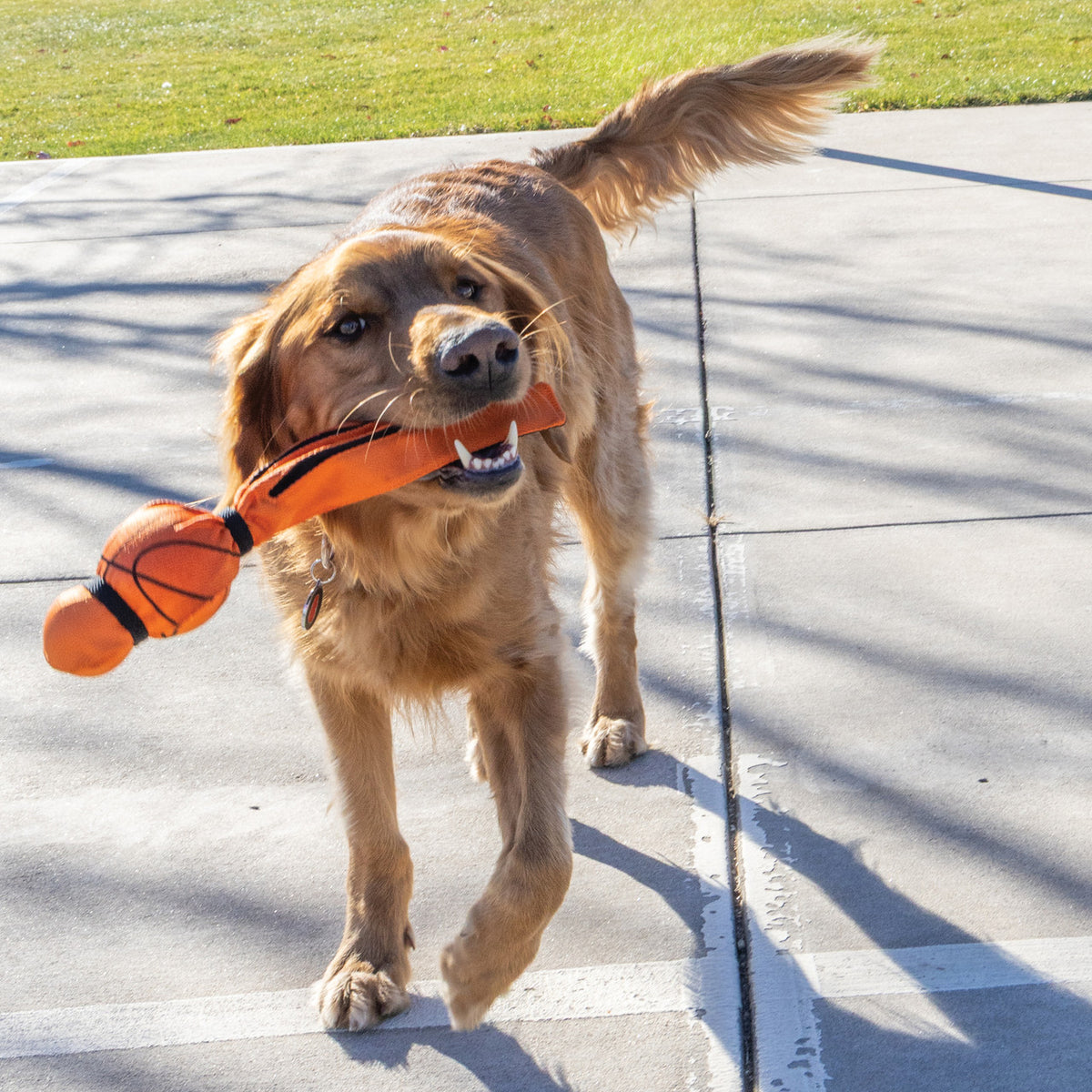 KONG Wubba Sport Basketball Large Dog Toy