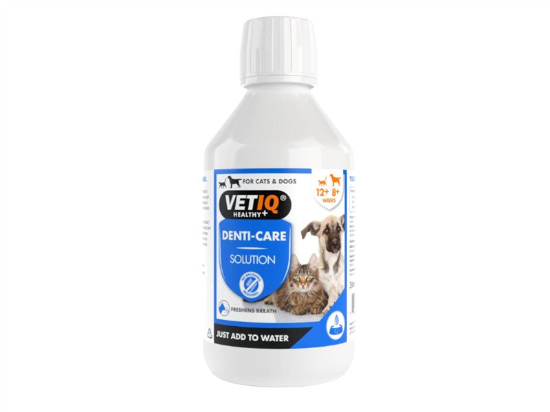 Vetiq Denti-Care Solution 250ml 