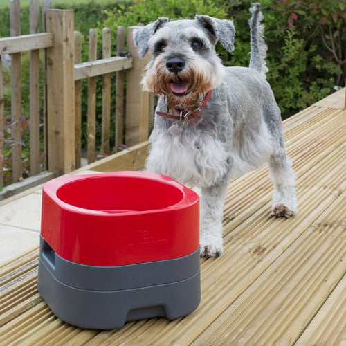 Pet Weighter Blue/Grey Bowl Large 2L