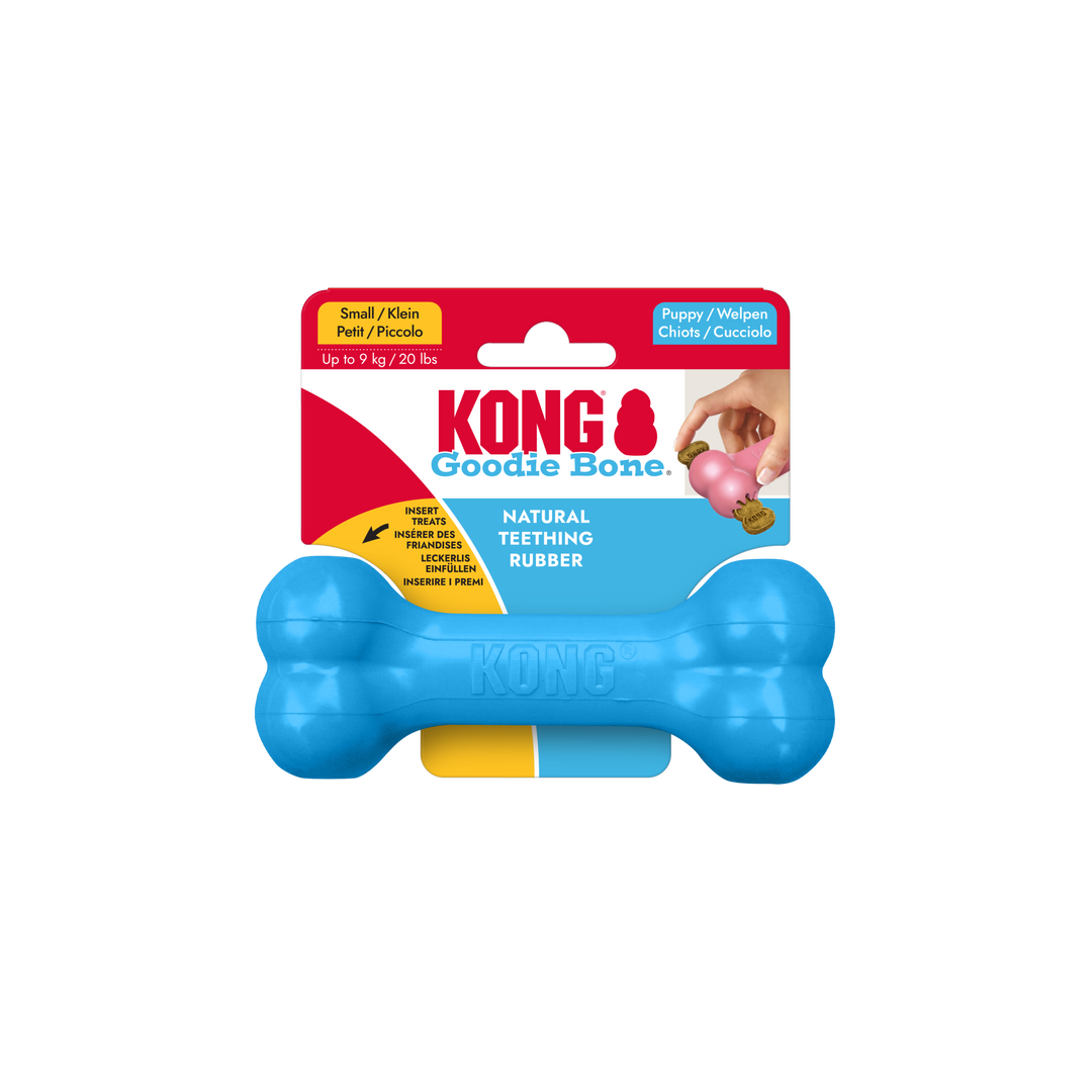 KONG Puppy Goodie Bone Small Pink/Blue Dog Chew Toy, in packaging