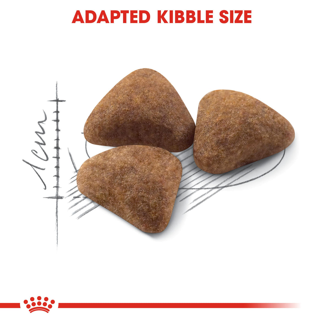 Royal Canin Indoor 27 400gm, view 3
