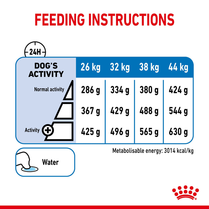 Royal Canin Dog Adult Maxi Light 12kg, view 6
