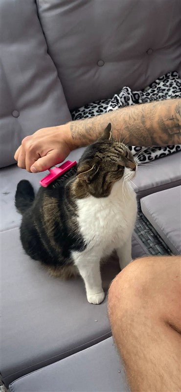 Ancol Ergo Cat Slicker Brush
