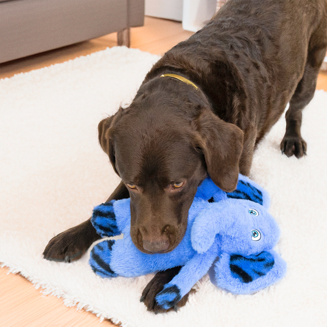 KONG Jungle Jamz Elephant Medium/Large Dog Toy, in use