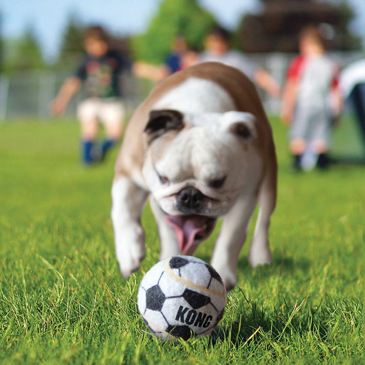 KONG Sports Ball Large 2PACK, in use